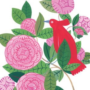 livre_bébé_enfant_cartonné_histoire_dessin_imagier_nature_maison Eliza_Editions_l'INATELIER_Nantes_cadeaux_noel_chambre_apprentissage_Couv-Les-couleurs-de-mon-jardin-RVB-550x550_made-in-france_coquelicot_détail