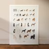 Affiche-chiens-papier d'art-texturé-position-sport-memory-50x70cm-déco-nantes