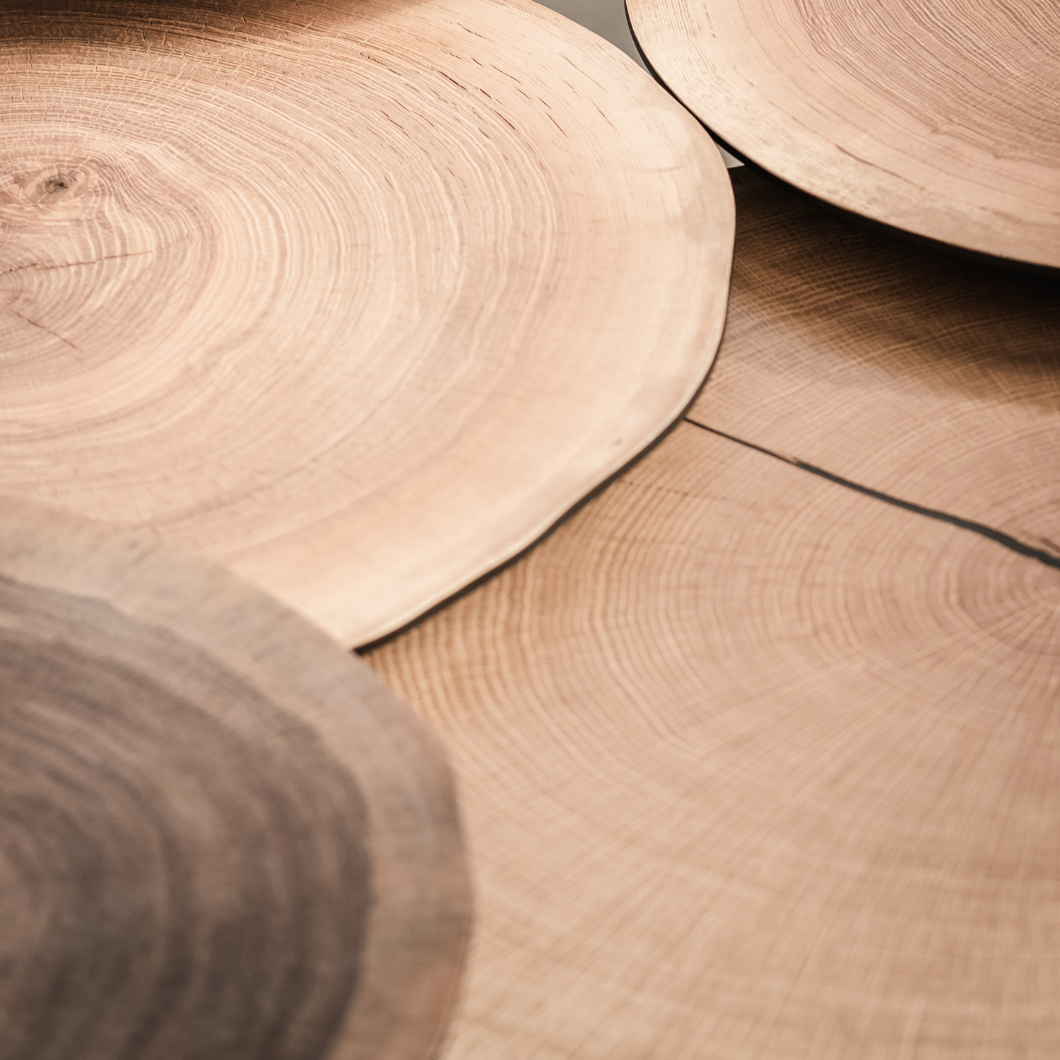table-basse-chêne-massif-ralph-m-linatelier (5)